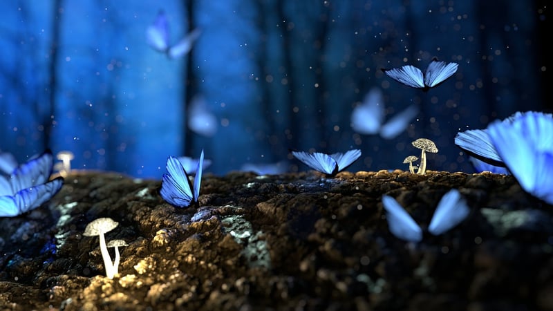 Enchanted Forest of Brocéliande